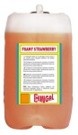 cleaning foam FOAMY STRAWBERRY 25KG